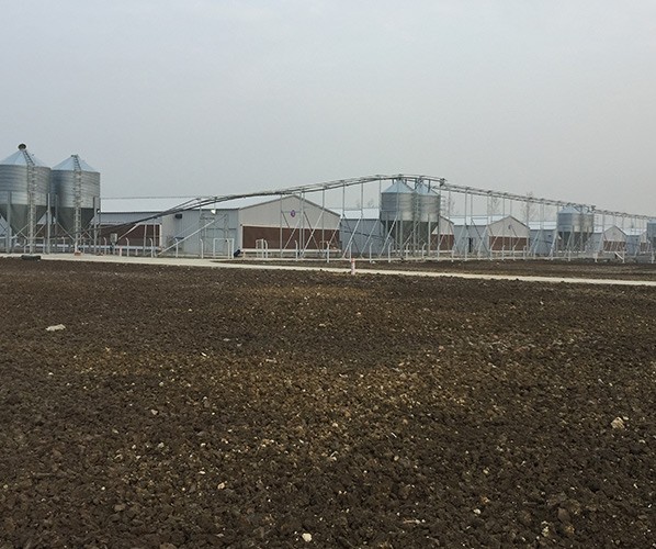 Feeding tower and feeding equipment series